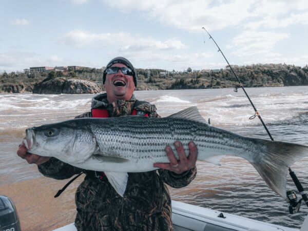 pete Bass